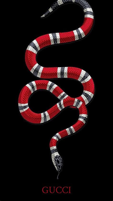 gucci circular snake|why does Gucci use snake.